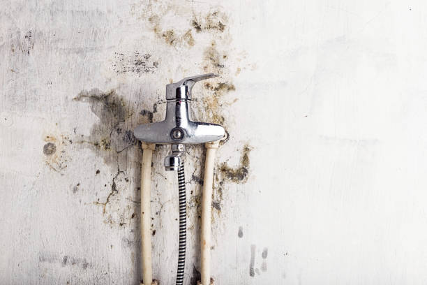 Best Industrial Mold Remediation in Summerside, OH